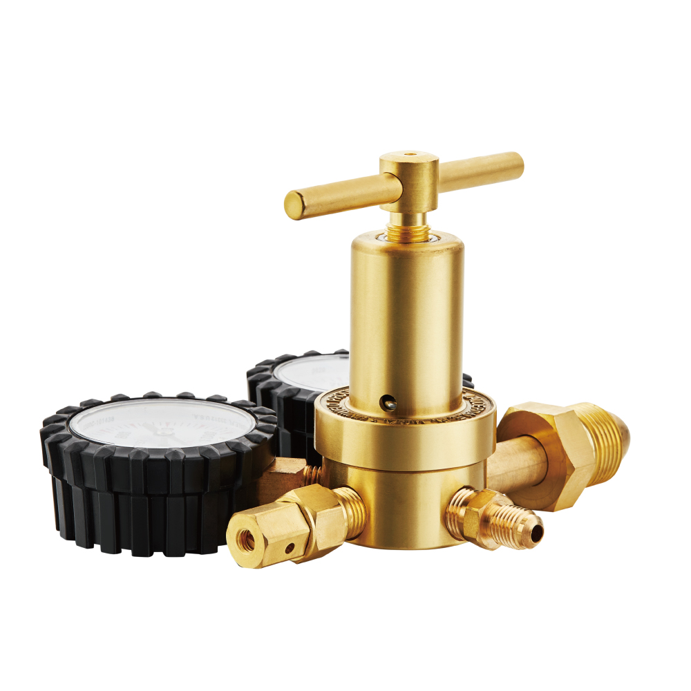 Premium Quality Rhp800 Series Special Purpose Regulator