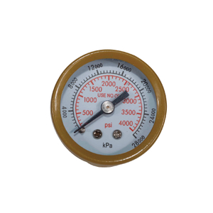 Manometer PG38A Series