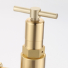 Premium Quality 4500psi High Pressure Piston Regulator